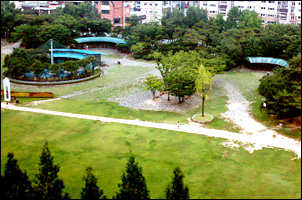 잔디 광장 사진