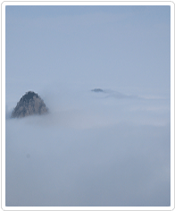 케이블카에서 내려본 황산 안개 사진